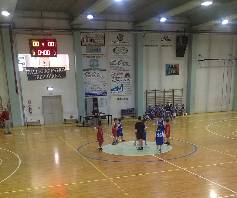 pool olimpia sile sqr